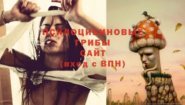 гидра Бугульма