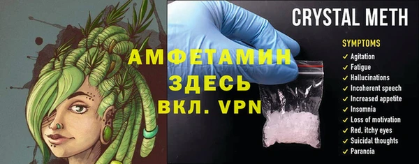 PSILOCYBIN Верея