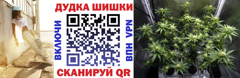Конопля ГИДРОПОН  Вихоревка 